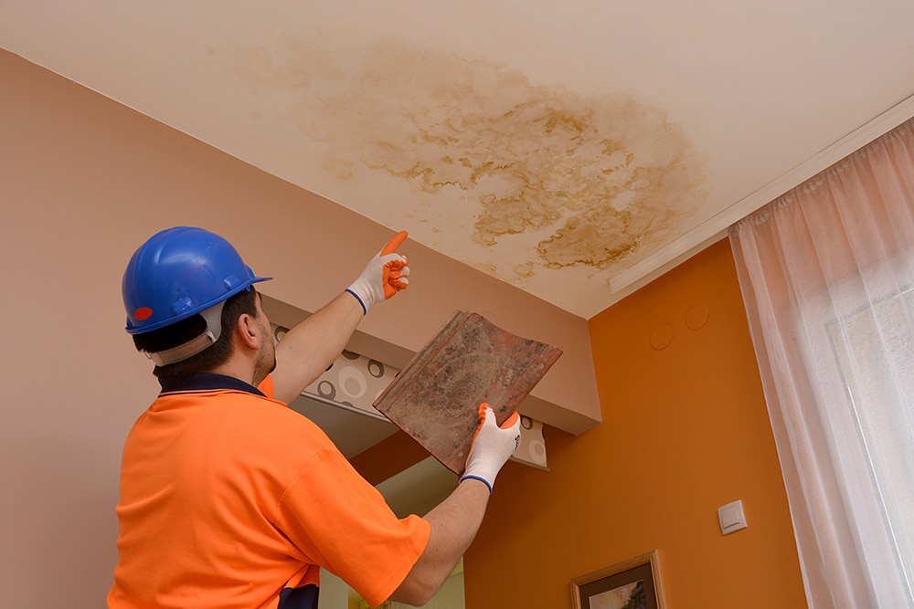 Mold Remediation Denver